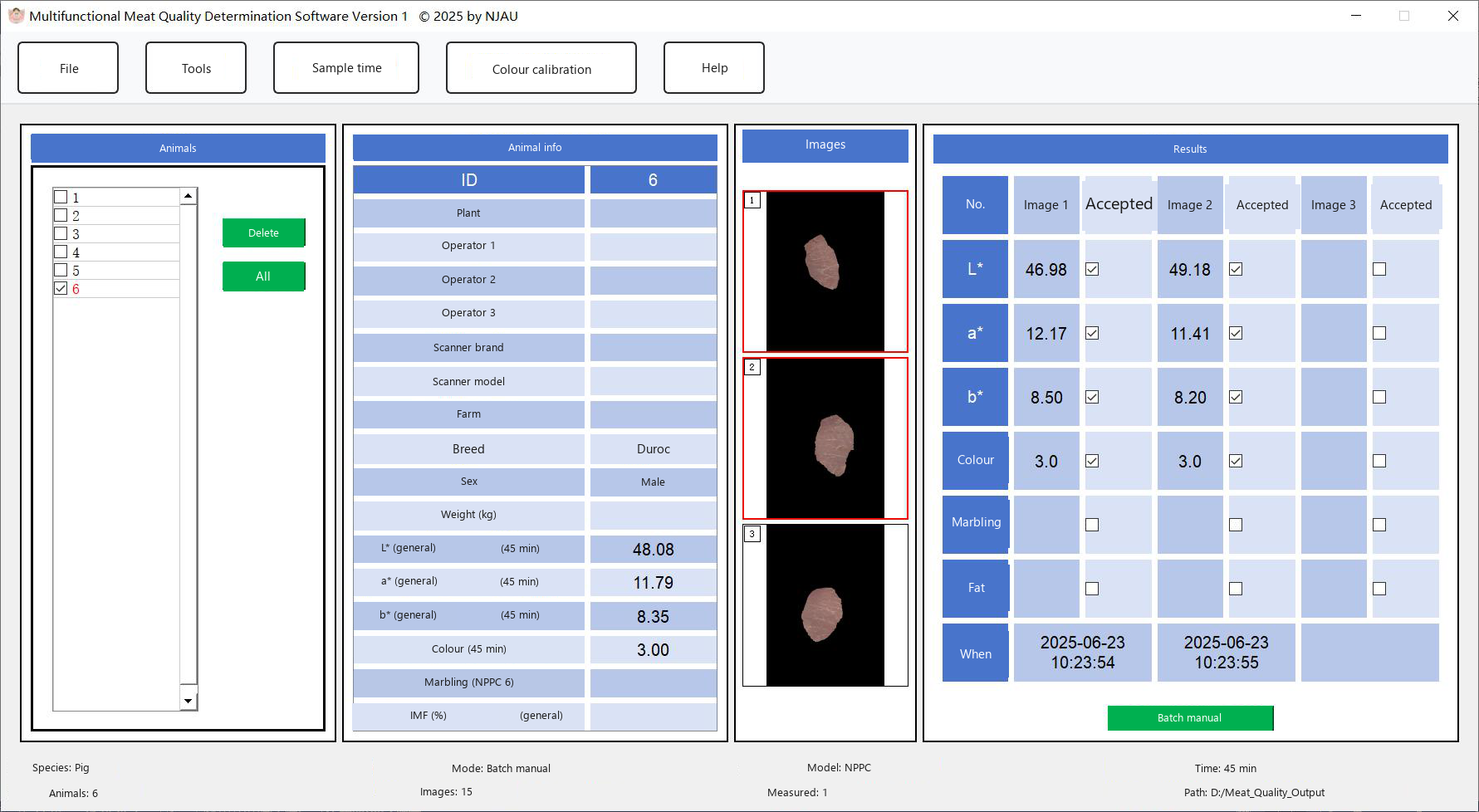 Multiple manual measurement