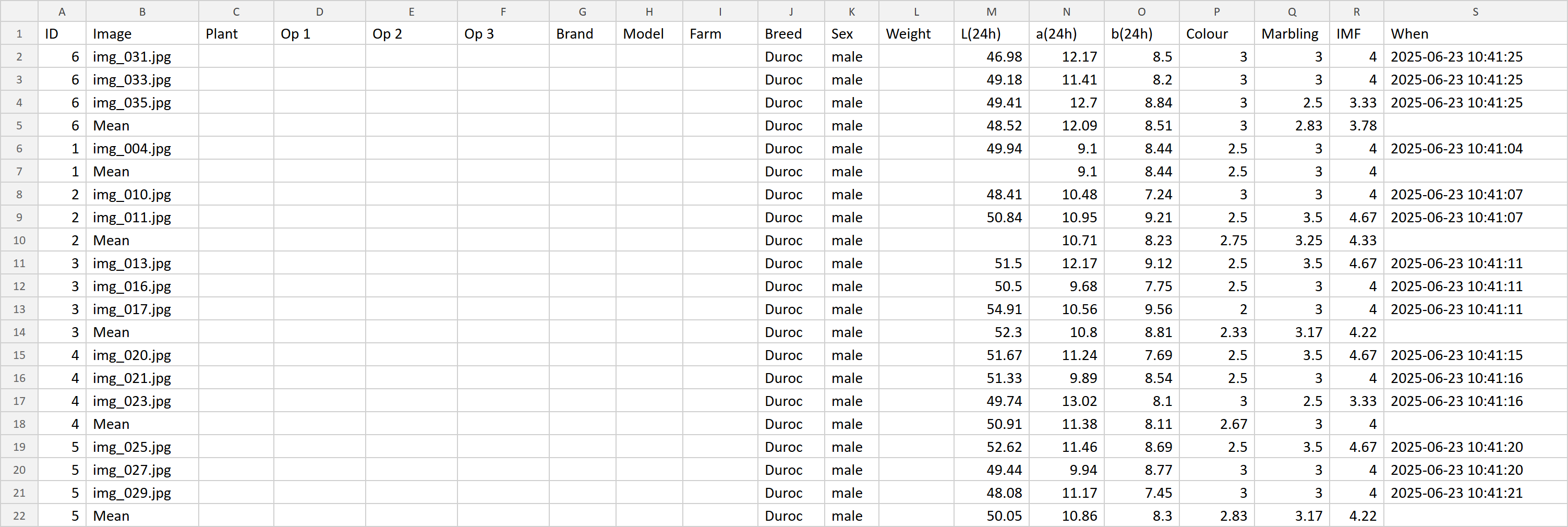 Exported CSV
